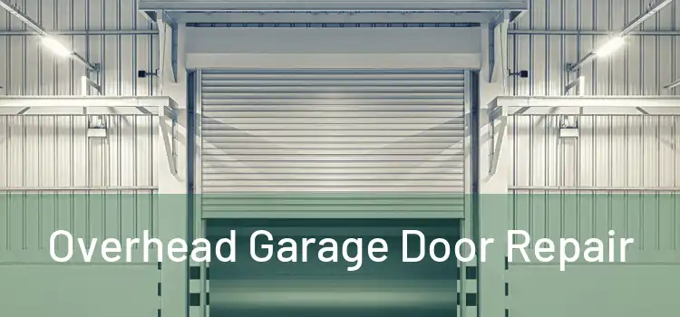  Overhead Garage Door Repair 
